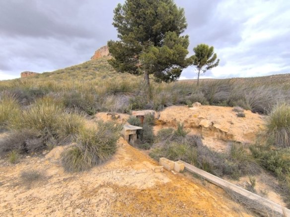 Land in Yecla - Caza De Casa