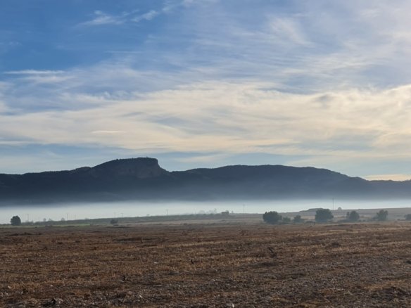 Land in Monóvar/Monóver - Caza De Casa