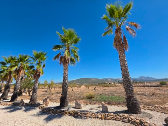 4 Bedroom 4 Bathroom Villa in Pinoso - Caza De Casa
