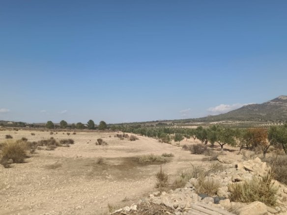 24,596 m² Land in Salinas - Caza De Casa