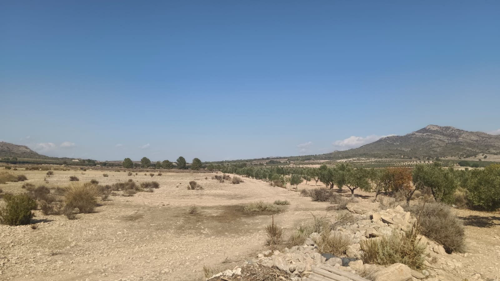 24,596 m² Land in Salinas - Caza De Casa