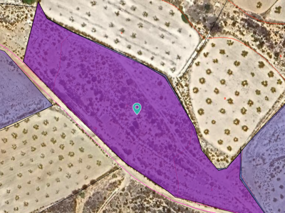 Land in Jumilla - Caza De Casa