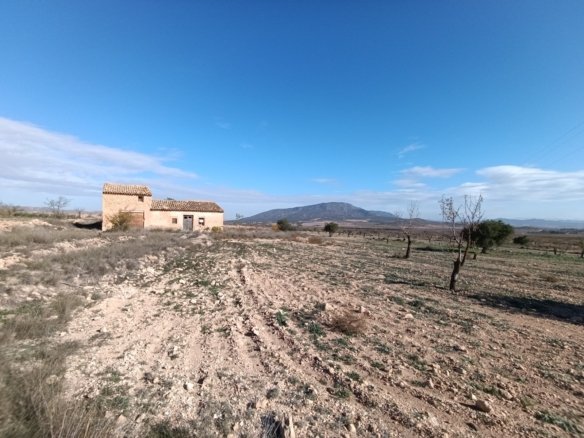 2 Bedroom Other in Yecla - Caza De Casa