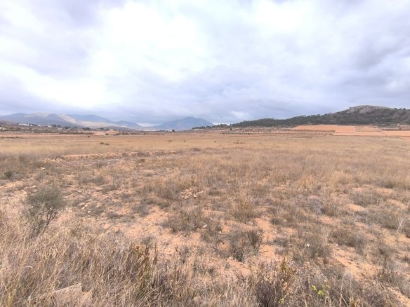 8,495 m² Land in La Solana - Caza De Casa