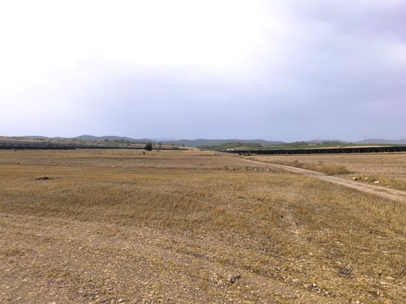 Land in Yecla - Caza De Casa
