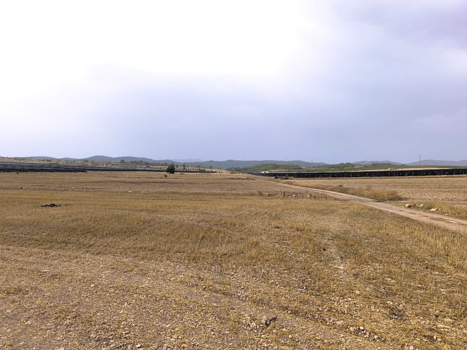 Land in Yecla - Caza De Casa