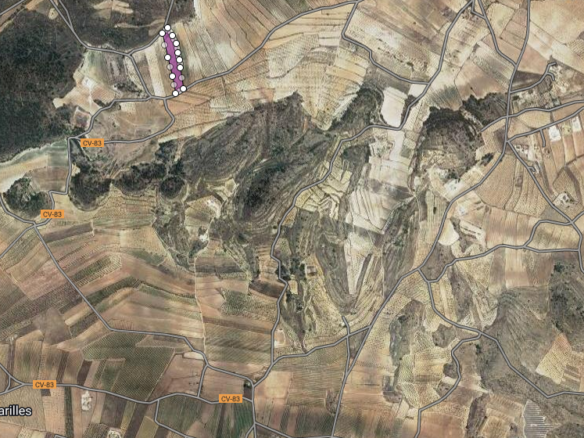 Land in Pinoso - Caza De Casa