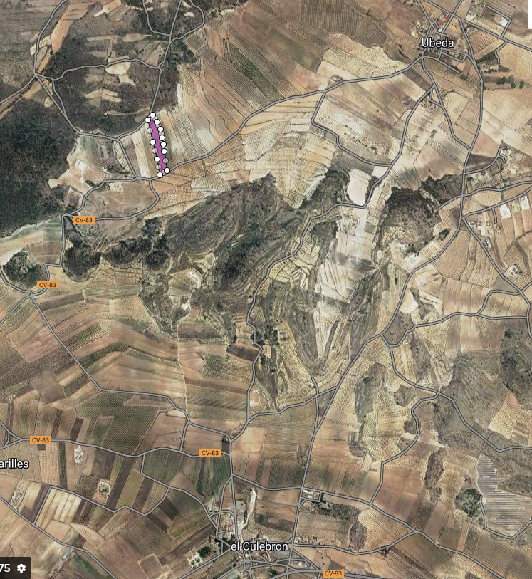 Land in Pinoso - Caza De Casa