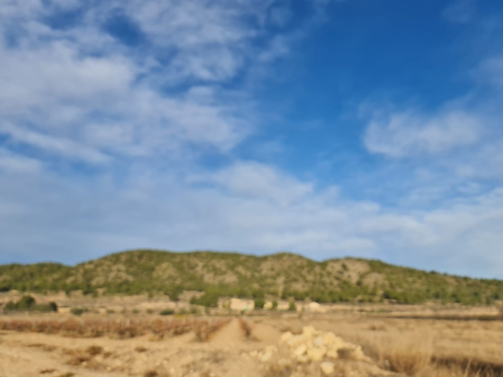 Land in Monóvar/Monóver - Caza De Casa