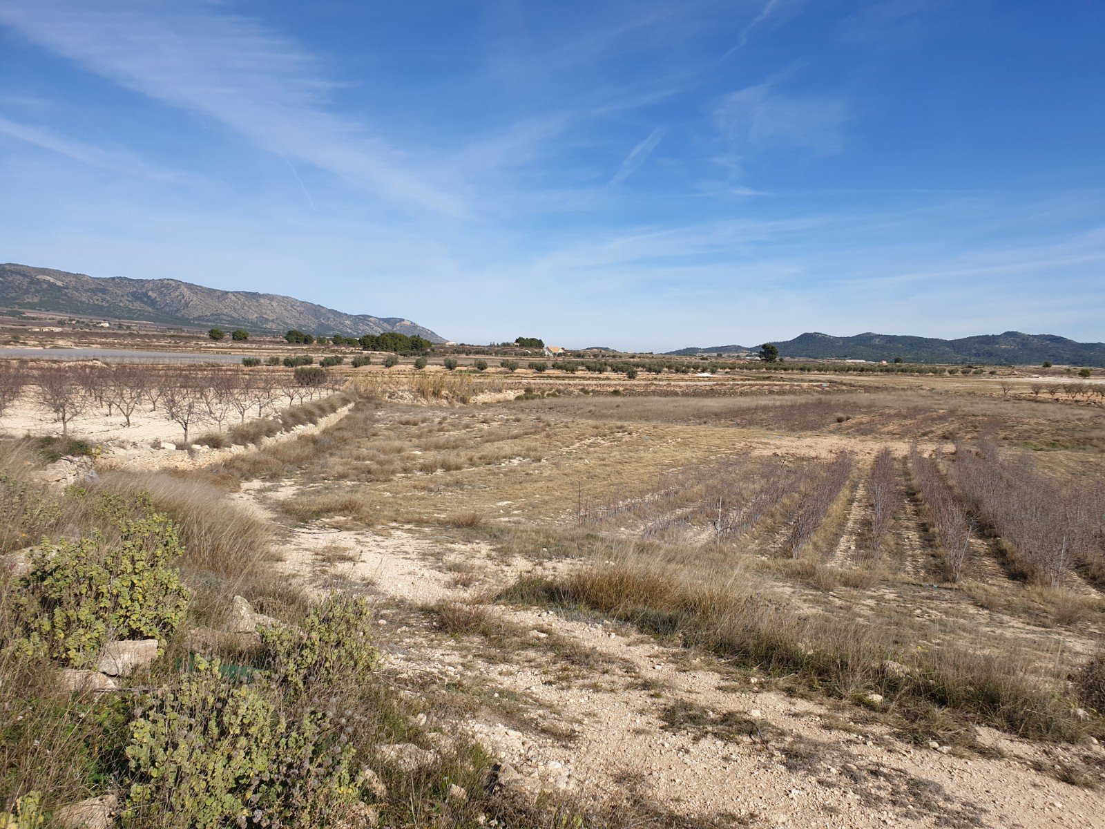 11,244 m² Land in Pinoso - Caza De Casa
