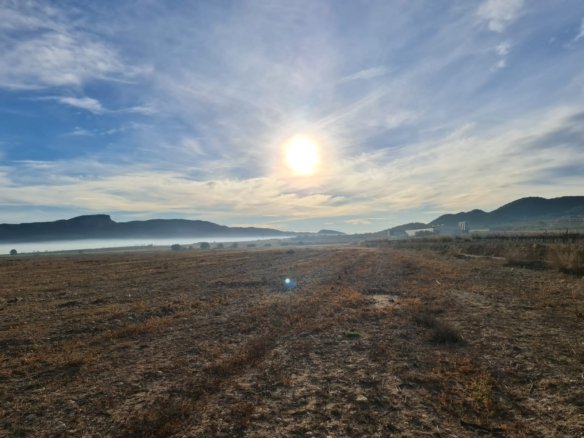 Land in Monóvar/Monóver - Caza De Casa