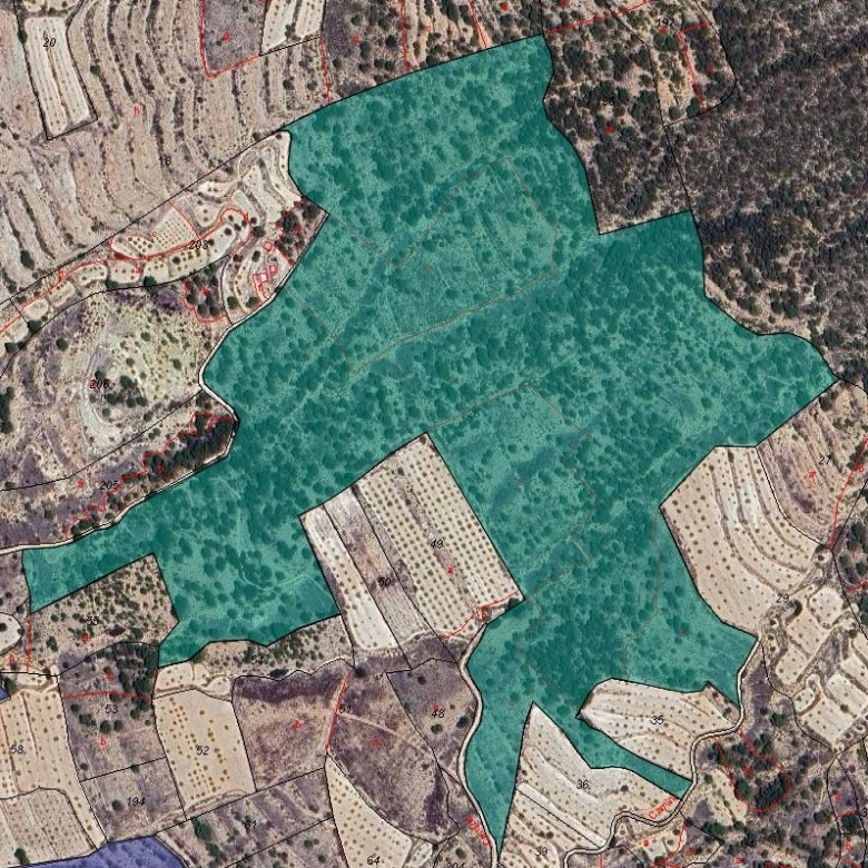 Land in Monóvar/Monóver - Caza De Casa
