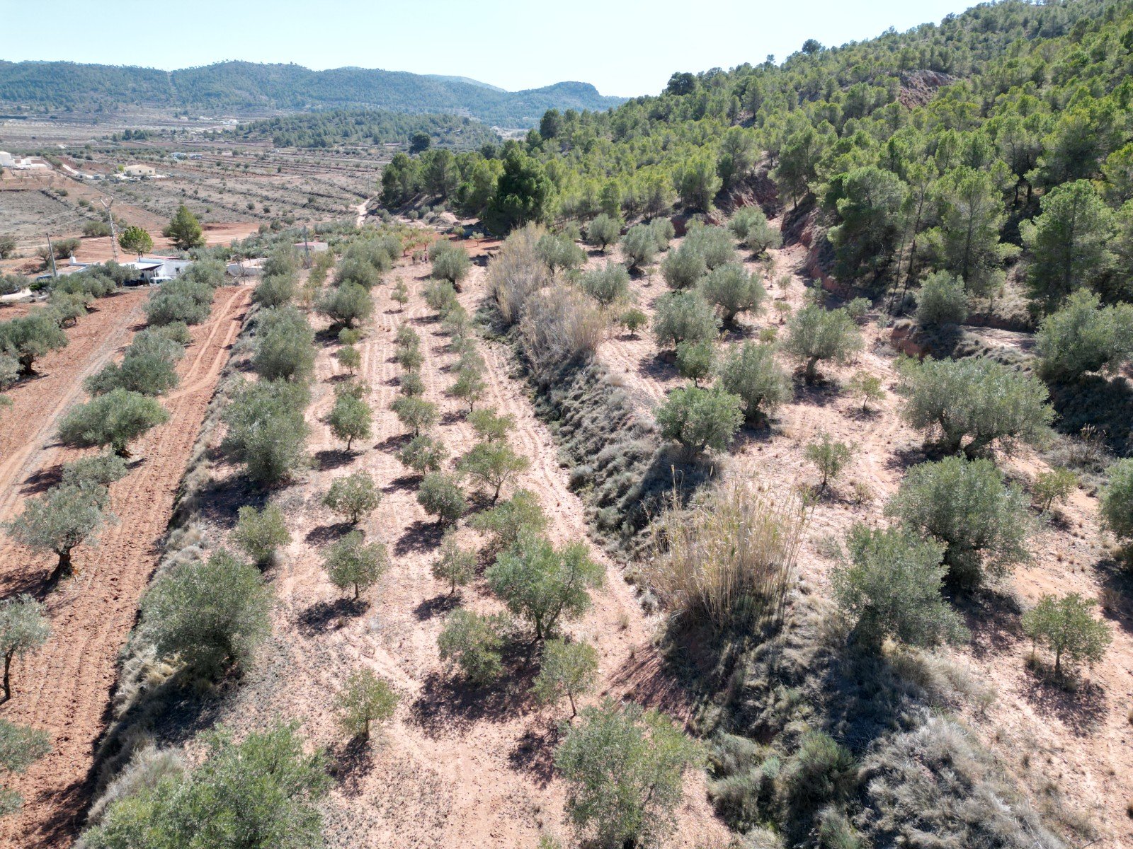 default 9,391 m² Land in Pinoso - Caza De Casa