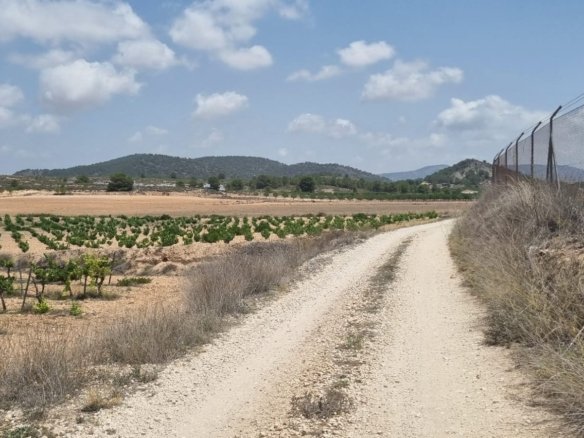 4,211 m² Land in Pinoso - Caza De Casa