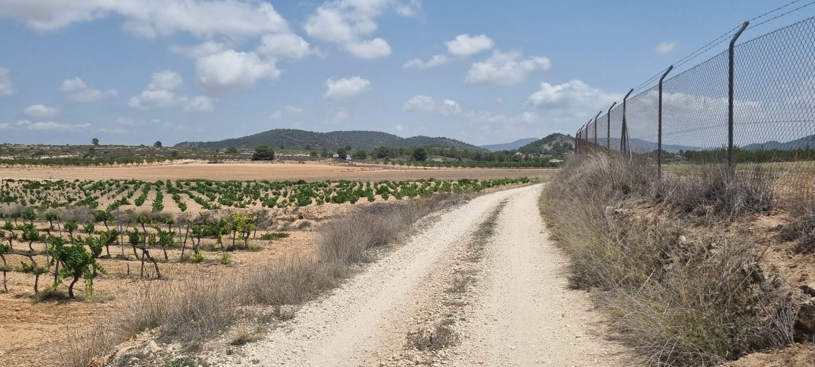 4,211 m² Land in Pinoso - Caza De Casa