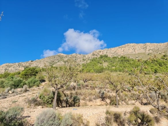 Land in La Romana - Caza De Casa