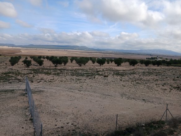 600 m² Land in Yecla - Caza De Casa
