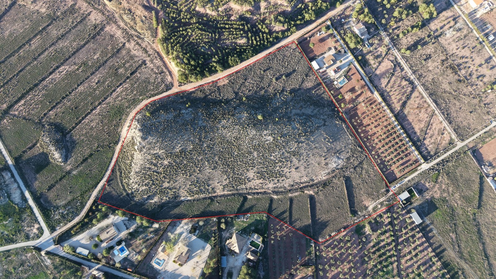 40,000 m² Land in Yecla - Caza De Casa