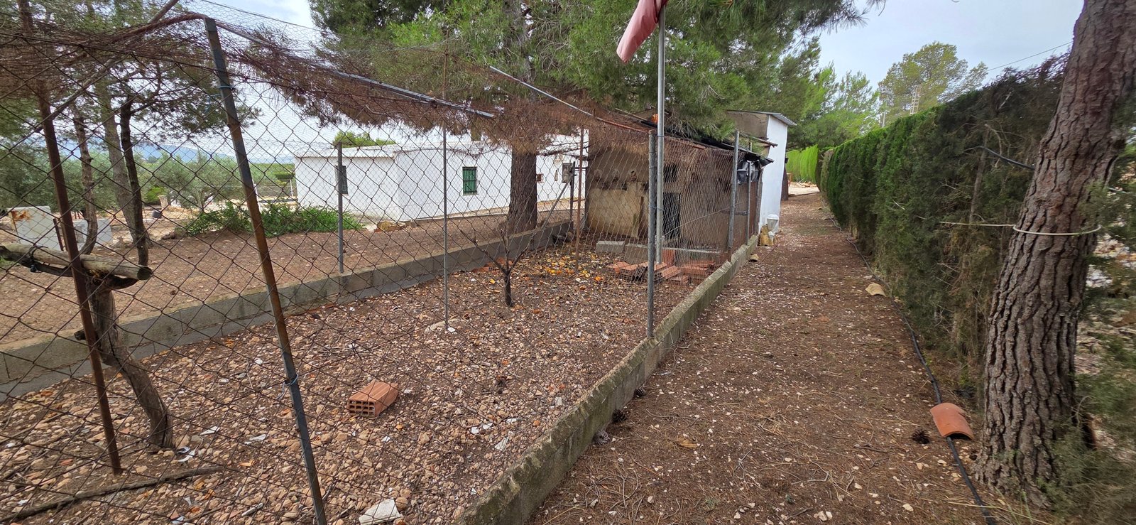 6 Bedroom 2 Bathroom Country House in Pinoso - Caza De Casa