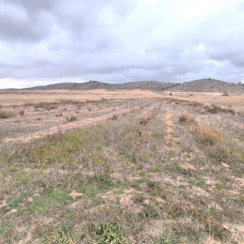 18,014 m² Land in La Solana - Caza De Casa