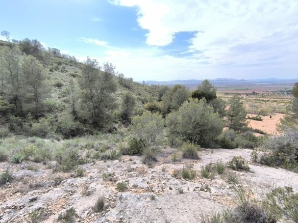 Land in Yecla - Caza De Casa