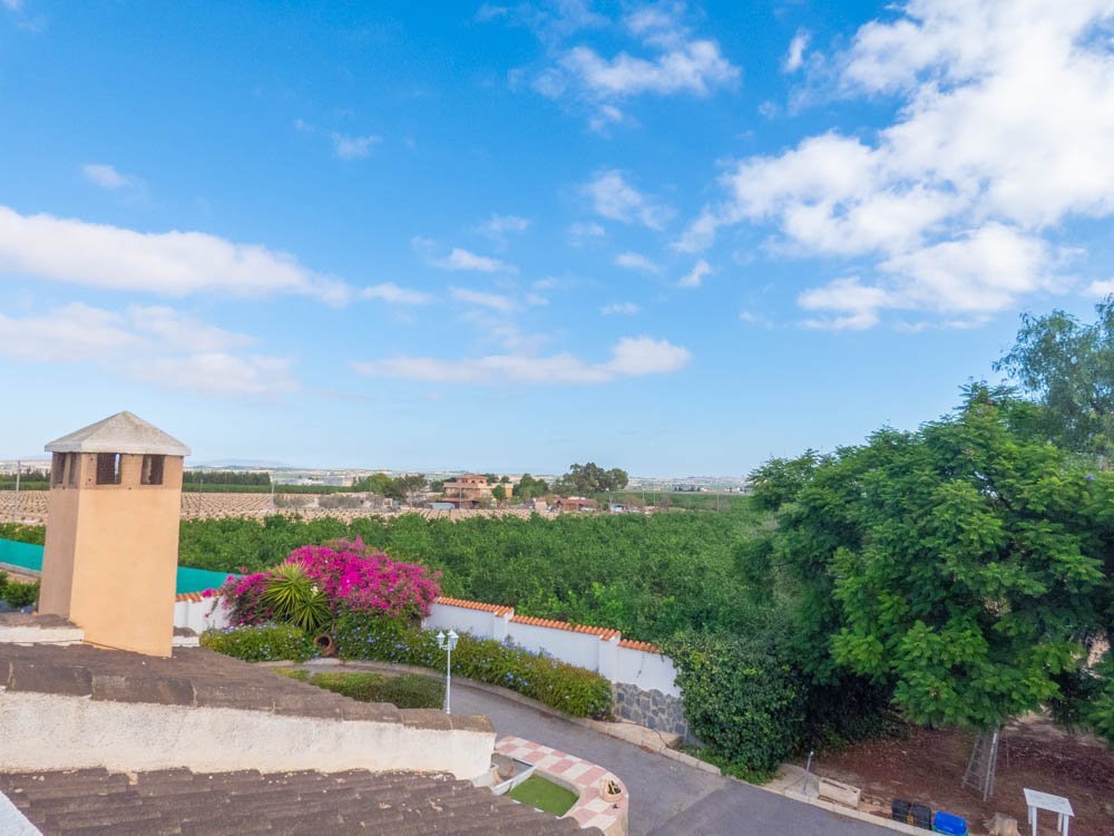 7 Bed 7 Bath Villa in San Miguel de Salinas - Caza De Casa