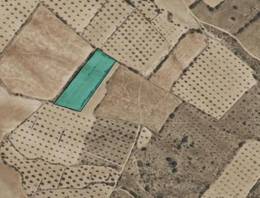 5,232 m² Land in Yecla - Caza De Casa