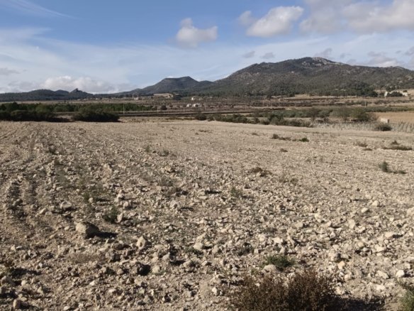 10,200 m² Land in Salinas - Caza De Casa
