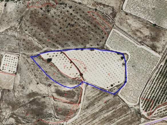 14,890 m² Land in Monóvar/Monóver - Caza De Casa