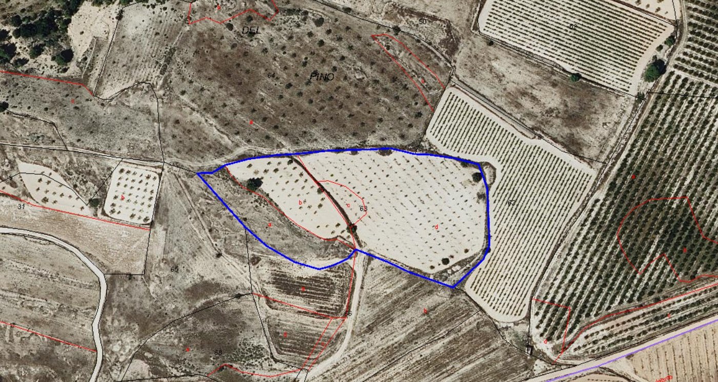 14,890 m² Land in Monóvar/Monóver - Caza De Casa