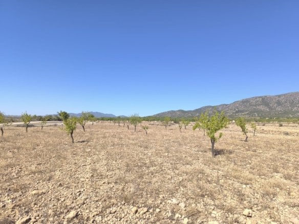 Land in Monóvar/Monóver - Caza De Casa