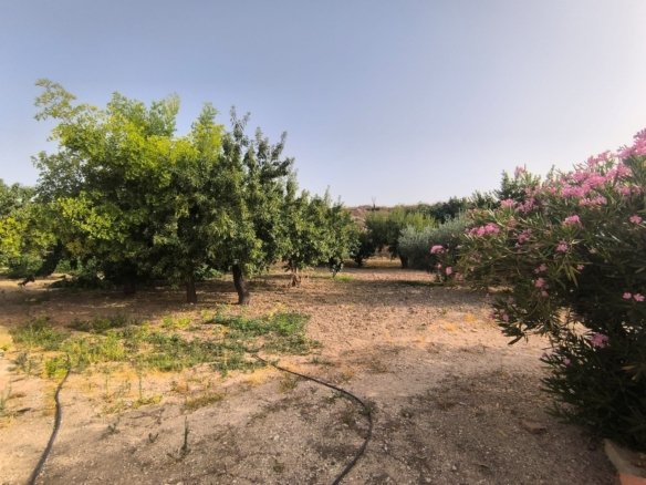 3 Bedroom 1 Bathroom Country House in Pinoso - Caza De Casa