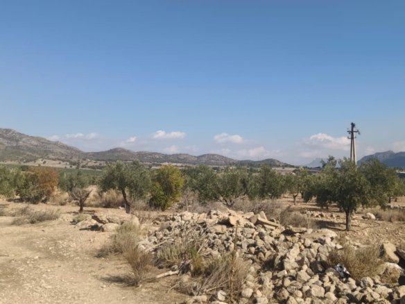 24,596 m² Land in Salinas - Caza De Casa