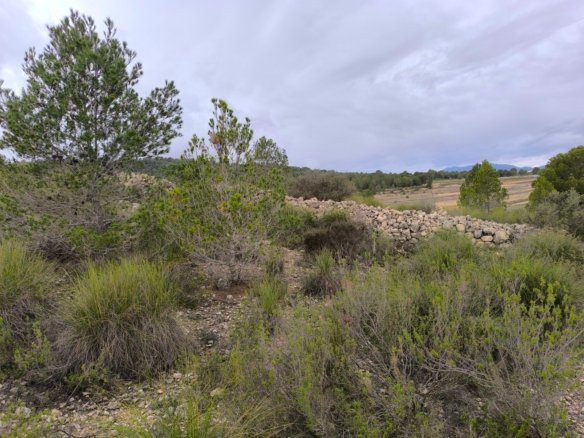 14,595 m² Land in Chinorlet - Caza De Casa