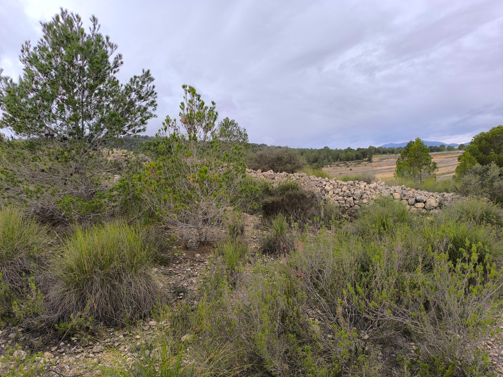 14,595 m² Land in Chinorlet - Caza De Casa