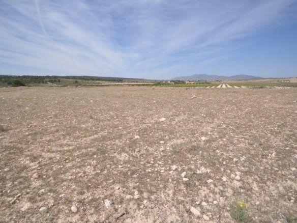 Land in Pinoso - Caza De Casa