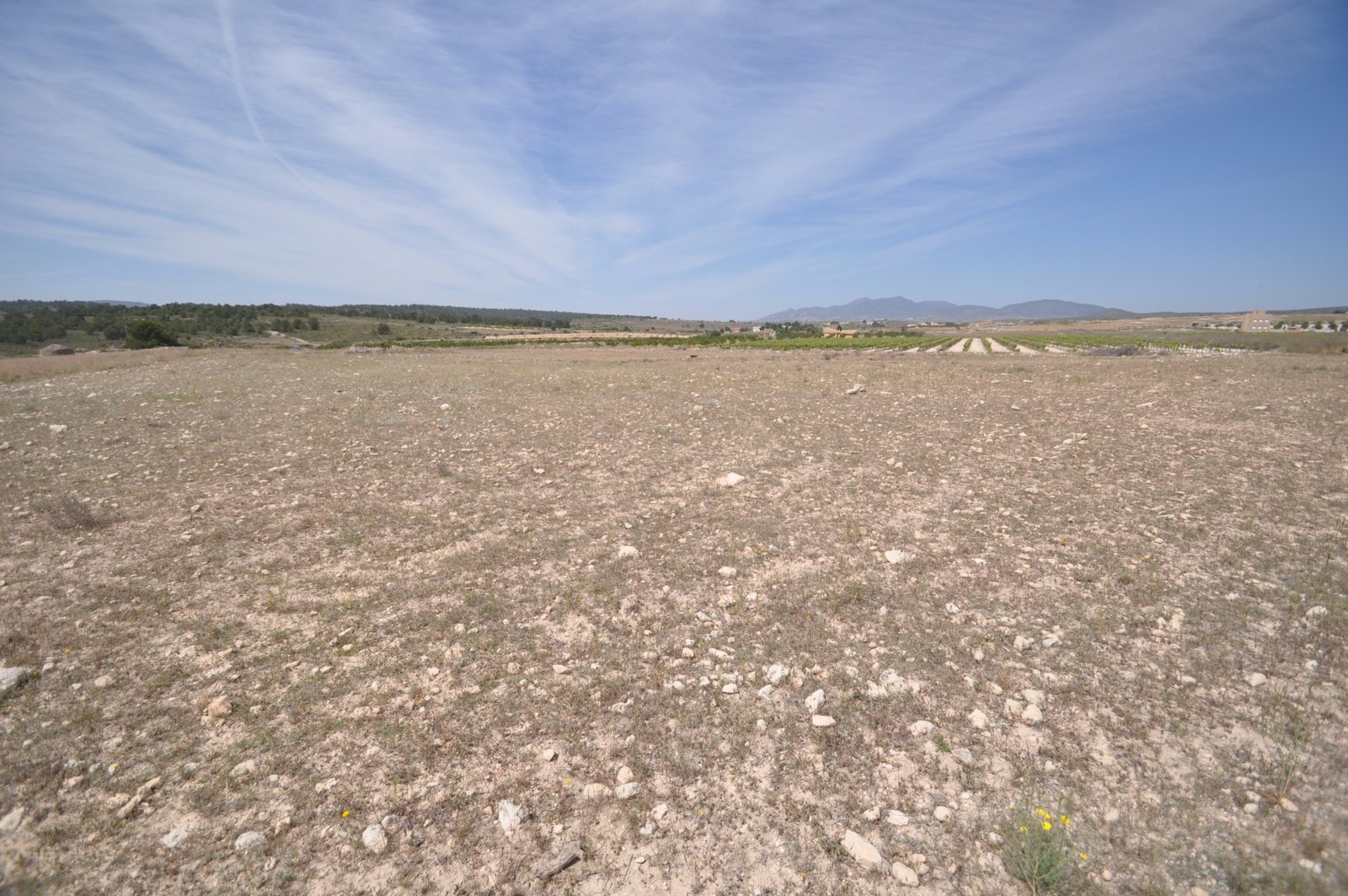 Land in Pinoso - Caza De Casa