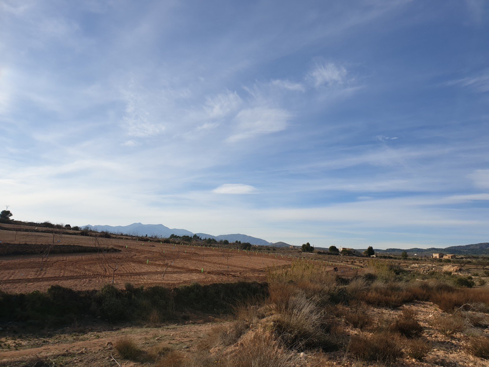 12,116 m² Land in Pinoso - Caza De Casa