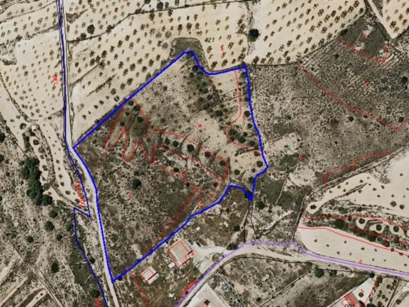 Land in Algueña - Caza De Casa