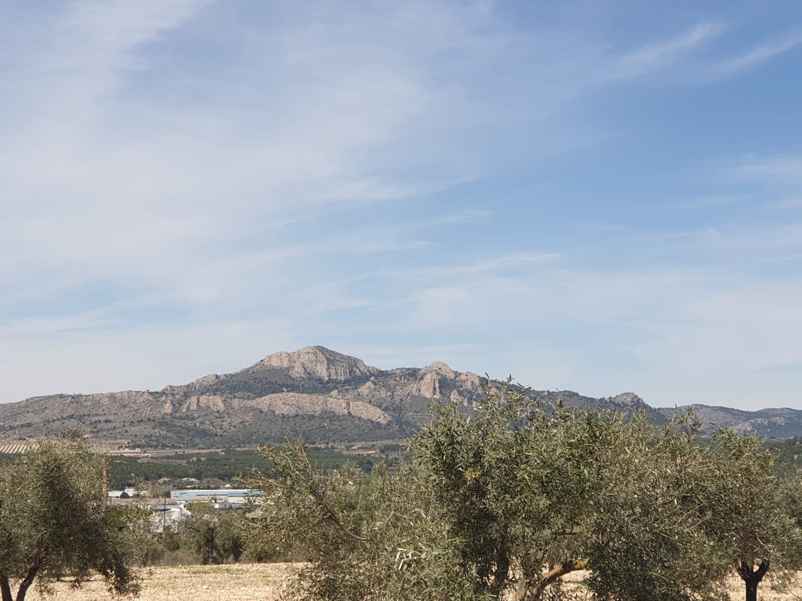 22,499 m² Land in Sax - Caza De Casa
