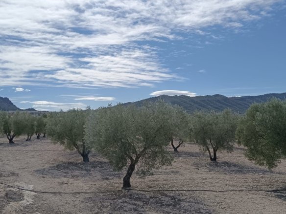 Land in Salinas - Caza De Casa