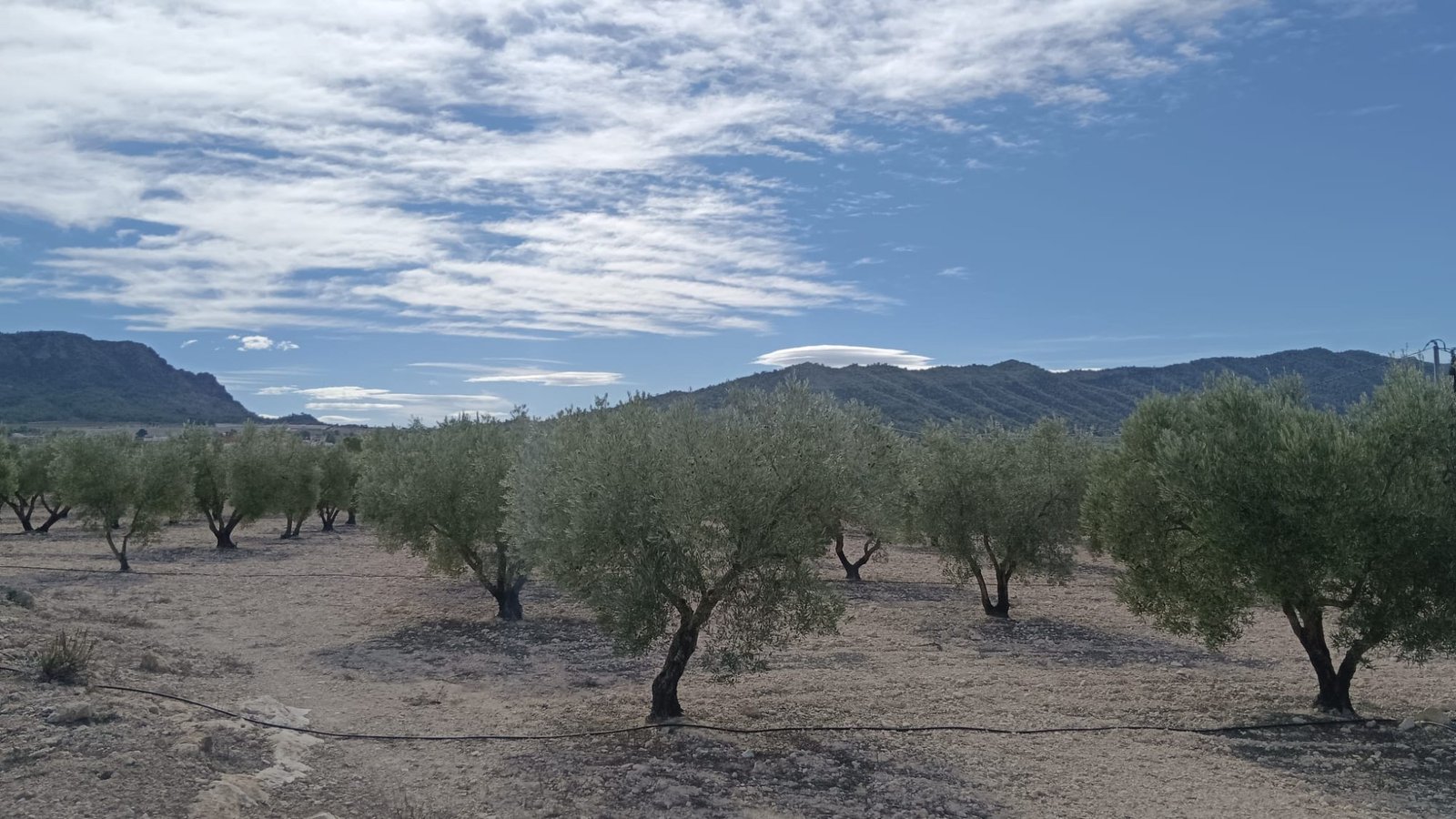Land in Salinas - Caza De Casa
