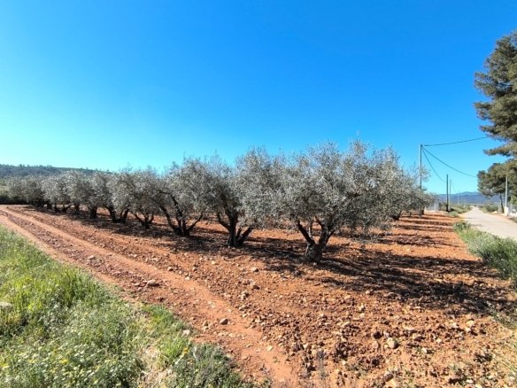 4 Bedroom 1 Bathroom Country House in Yecla - Caza De Casa