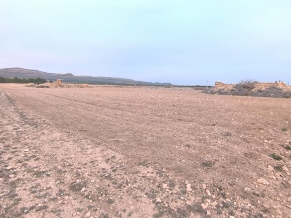 Land in Yecla - Caza De Casa