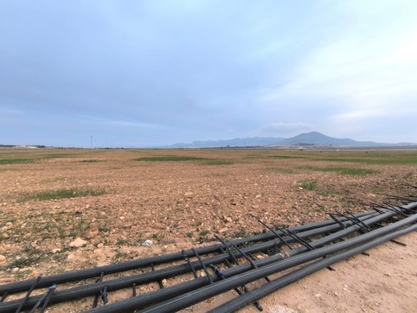 121,000 m² Land in Yecla - Caza De Casa