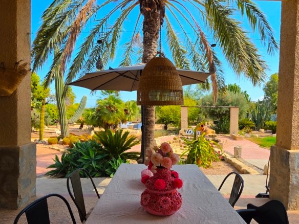 6 Bed 3 Bath Country House in Elche - Caza De Casa