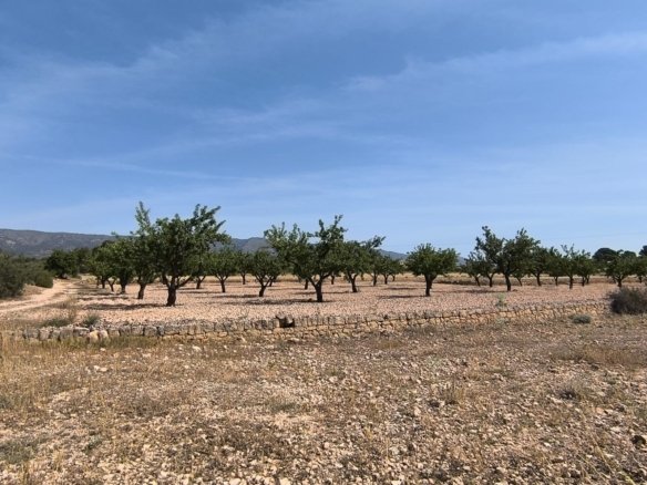 4,780 m² Land in Monóvar/Monóver - Caza De Casa