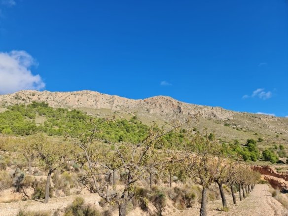 Land in La Romana - Caza De Casa
