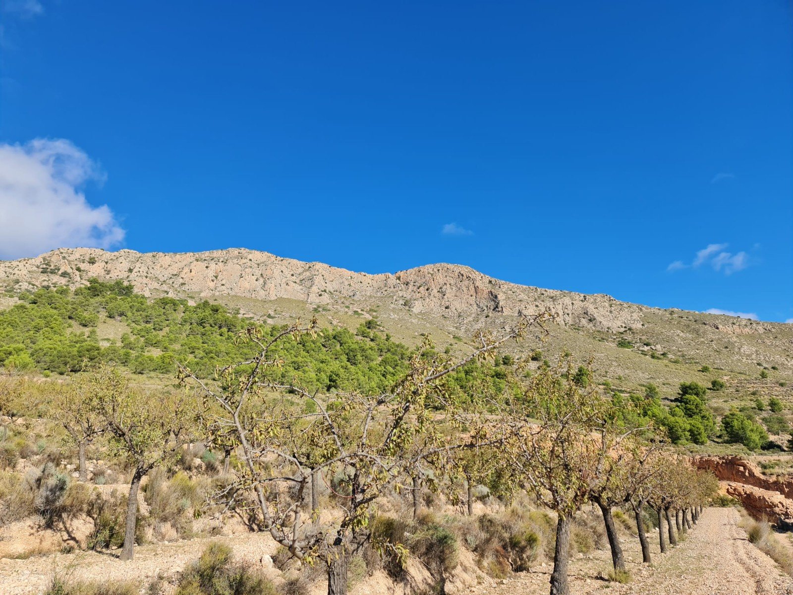 Land in La Romana - Caza De Casa