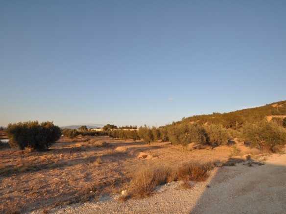 13,020 m² Land in Pinoso - Caza De Casa